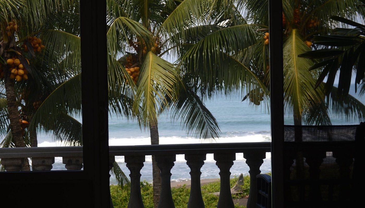 Ocean view through palm fronds from a balustrade balcony