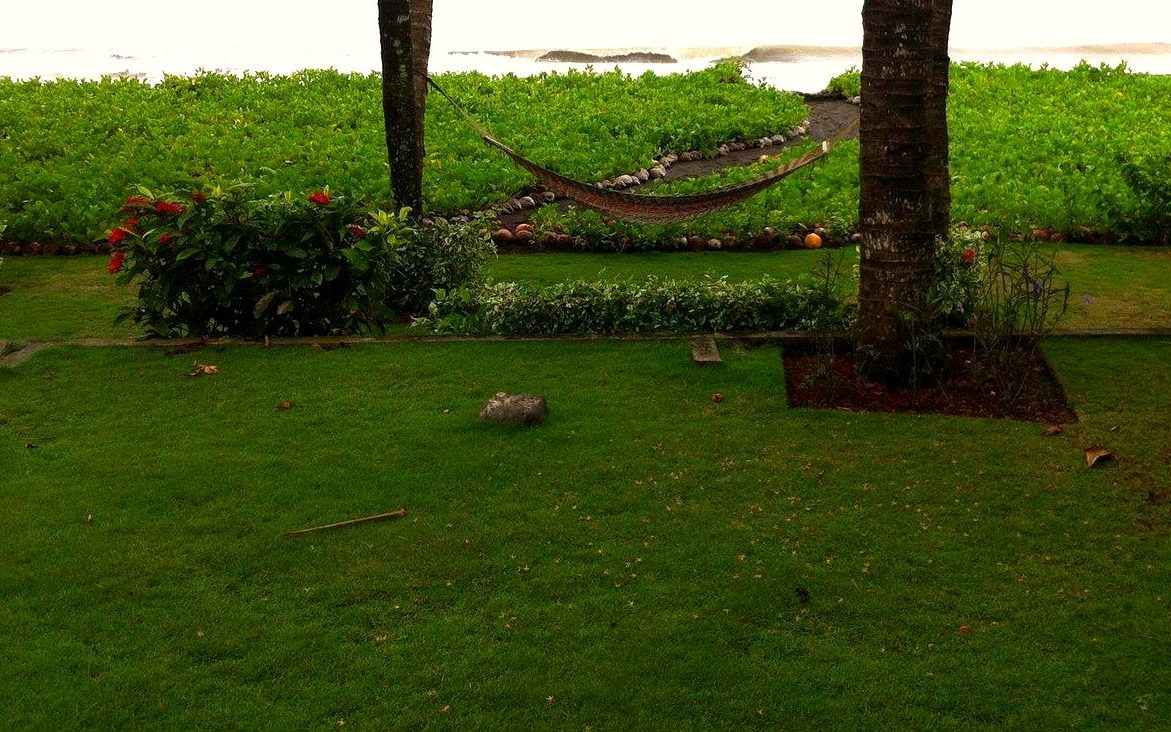 Beachfront garden with a hammock strung between palms